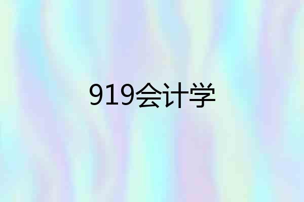 919会计学