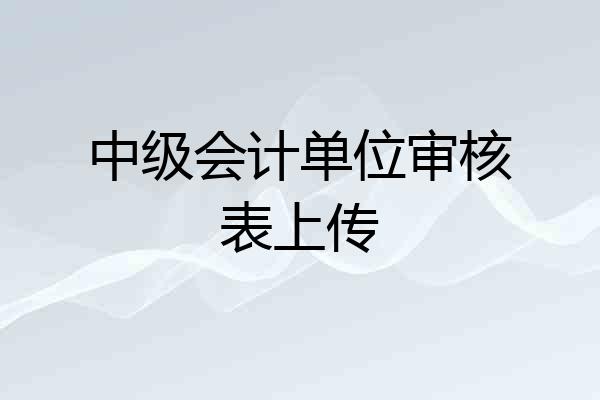 中级会计单位审核表上传