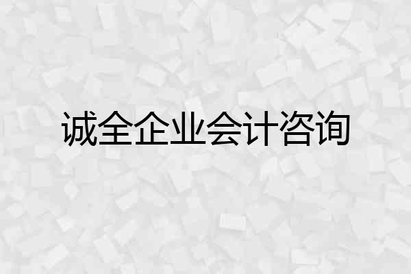 诚全企业会计咨询