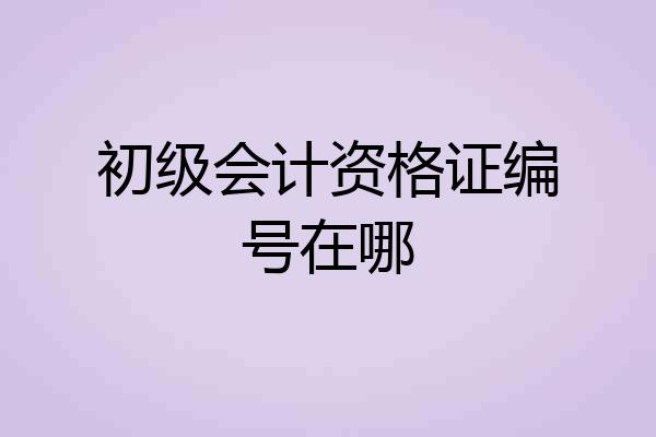 初级会计资格证编号在哪
