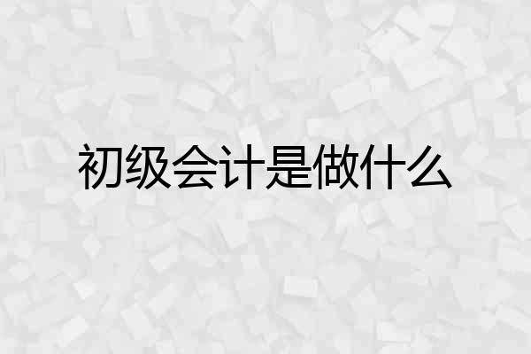 初级会计是做什么