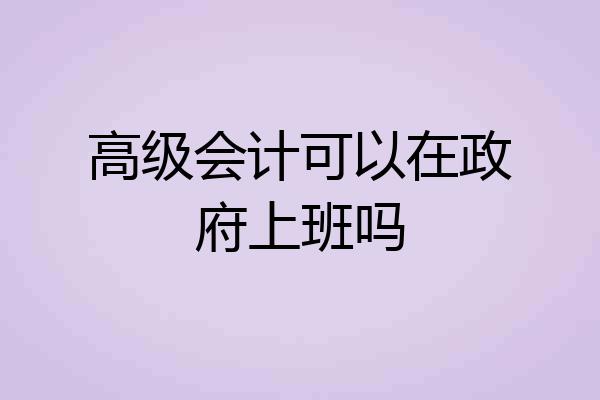 高级会计可以在政府上班吗