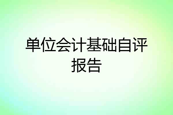 单位会计基础自评报告