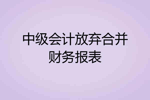 中级会计放弃合并财务报表