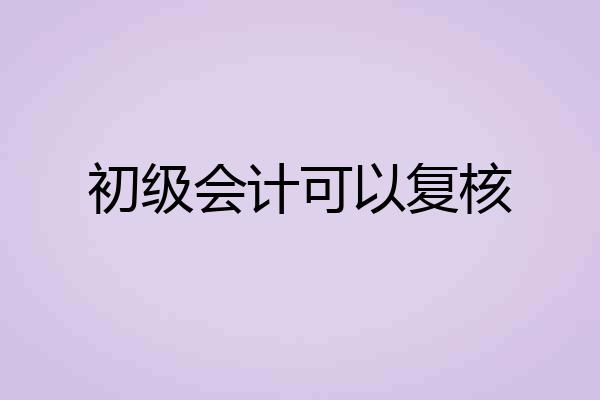 初级会计可以复核