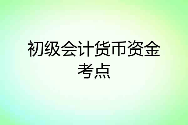 初级会计货币资金考点