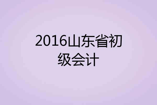 2016山东省初级会计