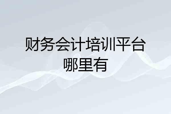 财务会计培训平台哪里有