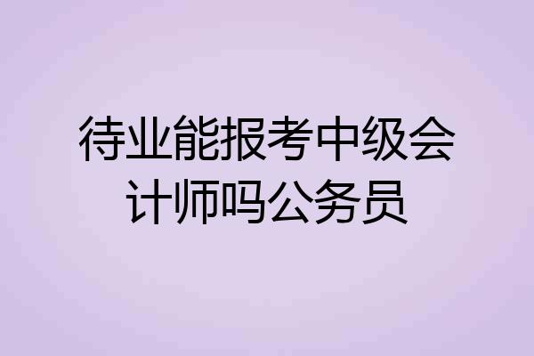 待业能报考中级会计师吗公务员