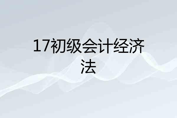 17初级会计经济法