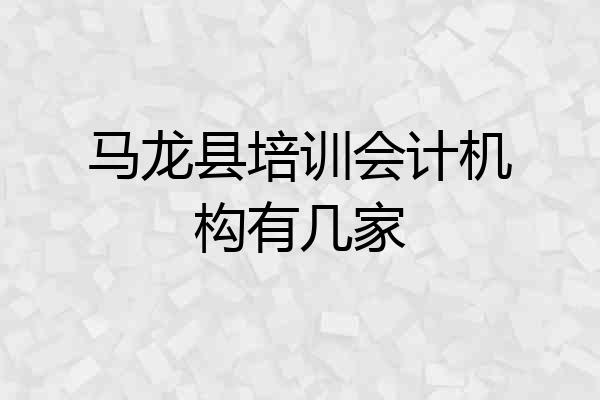 马龙县培训会计机构有几家