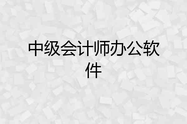 中级会计师办公软件