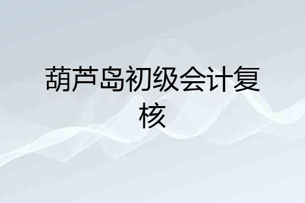 葫芦岛初级会计复核