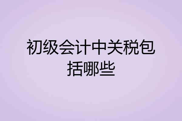初级会计中关税包括哪些