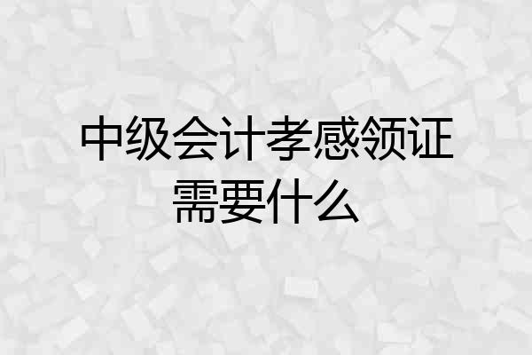 中级会计孝感领证需要什么