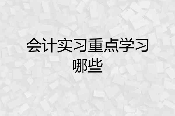 会计实习重点学习哪些