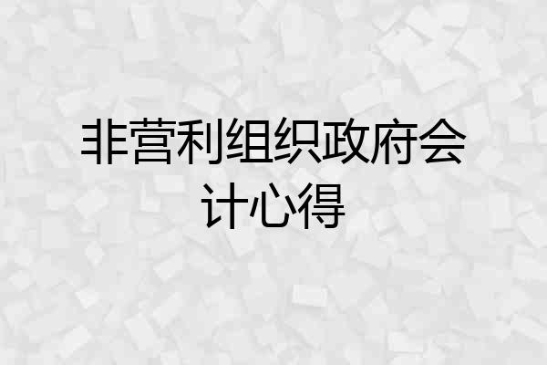 非营利组织政府会计心得