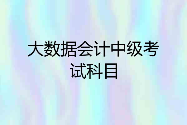 大数据会计中级考试科目