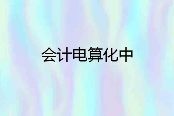 会计电算化中