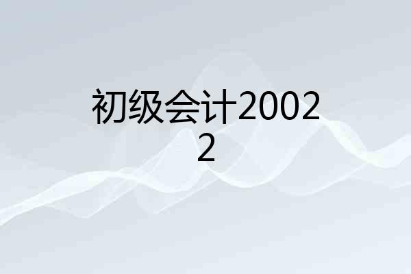 初级会计20022