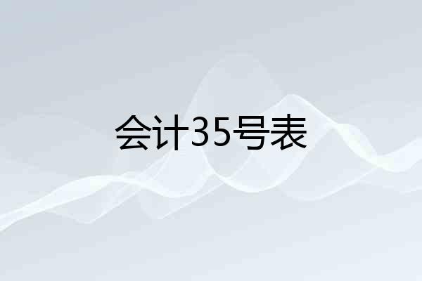 会计35号表