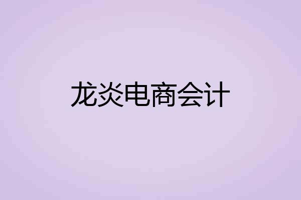 龙炎电商会计