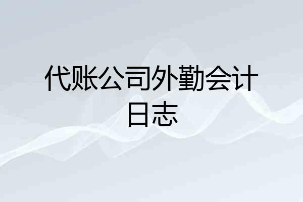代账公司外勤会计日志