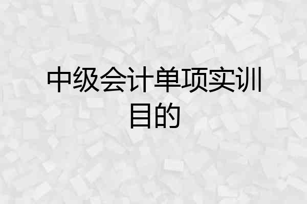 中级会计单项实训目的