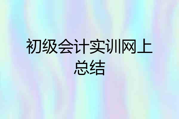 初级会计实训网上总结
