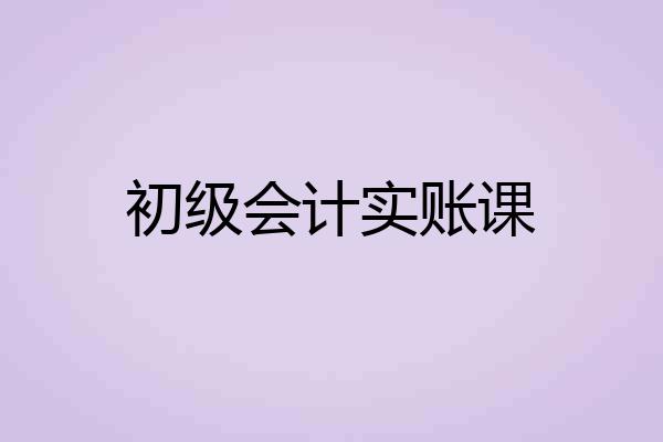 初级会计实账课