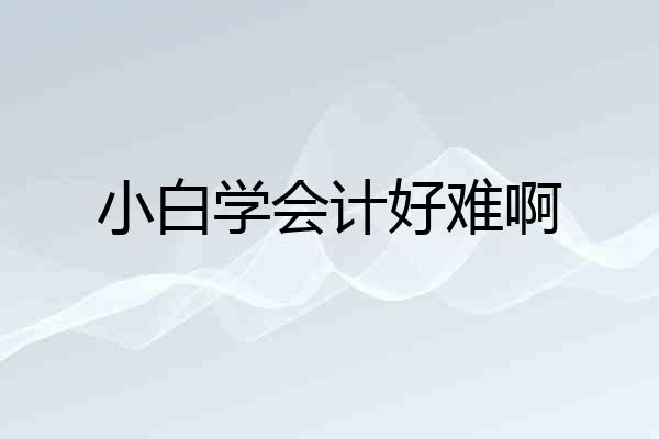小白学会计好难啊
