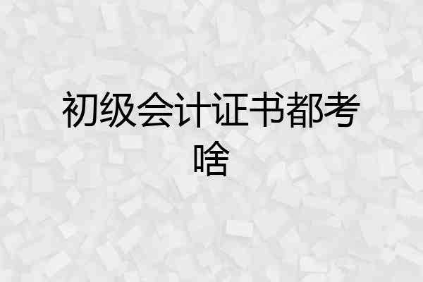 初级会计证书都考啥