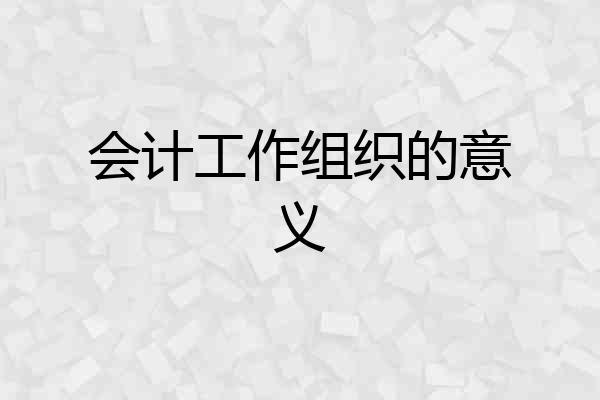 会计工作组织的意义