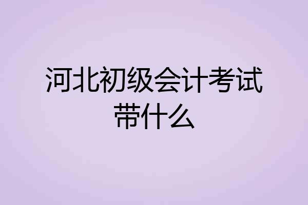 河北初级会计考试带什么