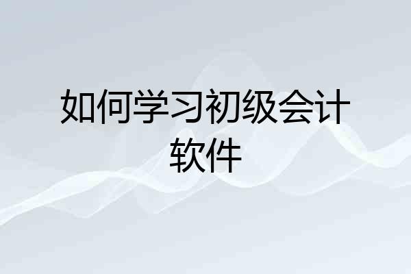 如何学习初级会计软件