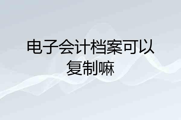 电子会计档案可以复制嘛