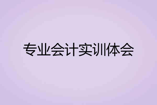 专业会计实训体会