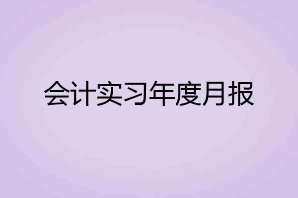 会计实习年度月报