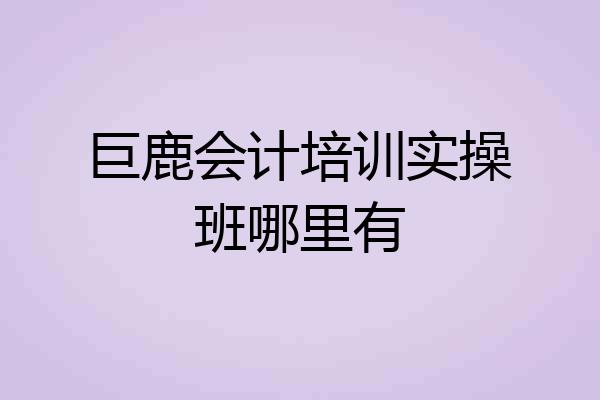 巨鹿会计培训实操班哪里有