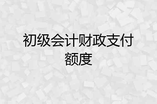 初级会计财政支付额度