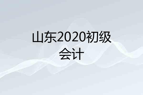 山东2020初级会计