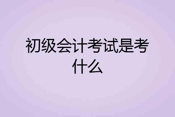 初级会计考试是考什么