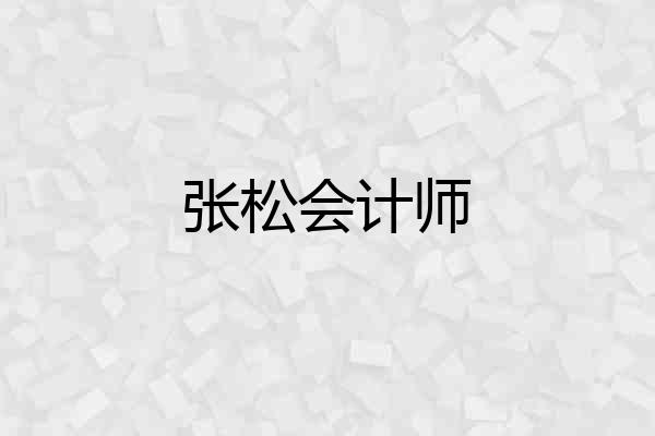 张松会计师