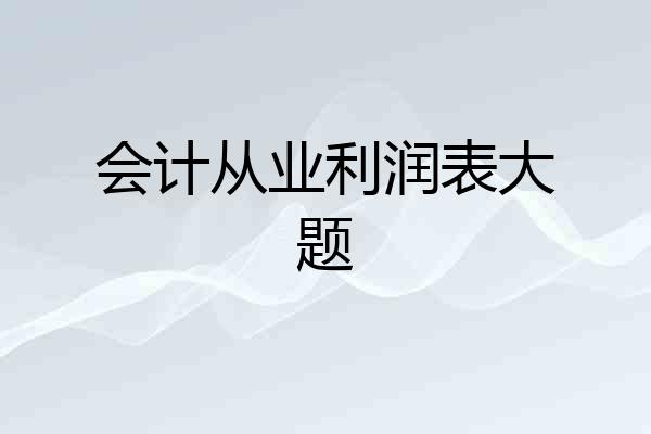 会计从业利润表大题