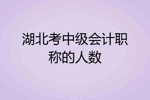 湖北考中级会计职称的人数