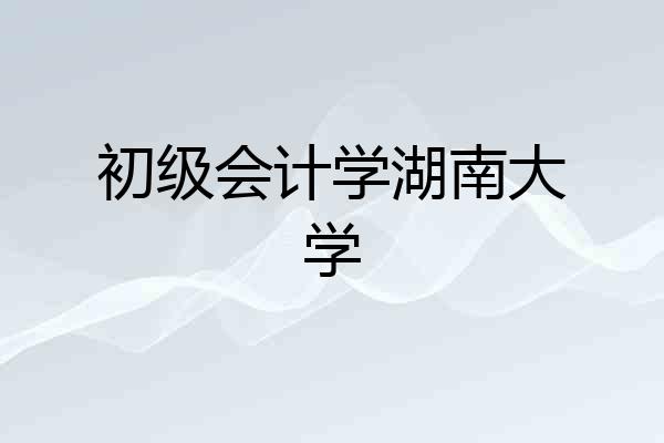 初级会计学湖南大学