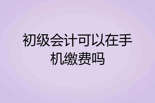 初级会计可以在手机缴费吗