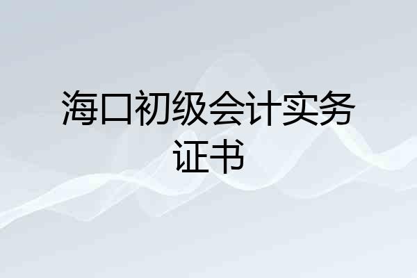 海口初级会计实务证书