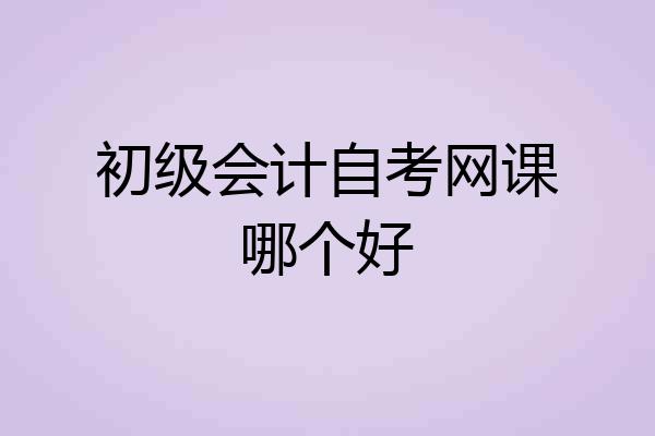 初级会计自考网课哪个好