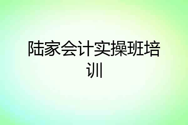 陆家会计实操班培训